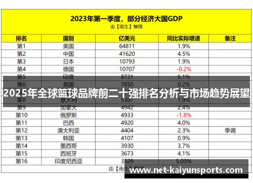 2025年全球篮球品牌前二十强排名分析与市场趋势展望