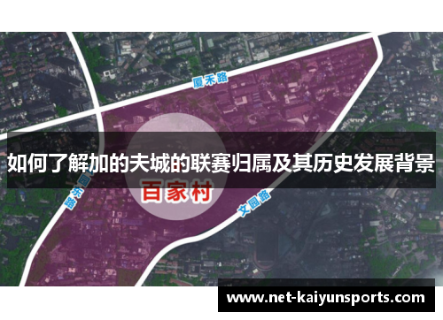 如何了解加的夫城的联赛归属及其历史发展背景